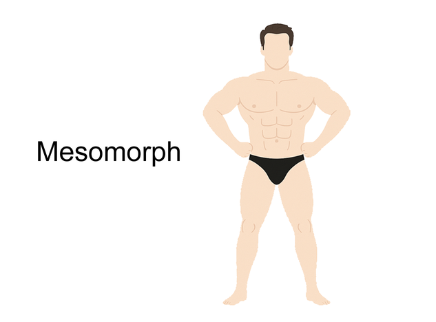 body_type_0.png