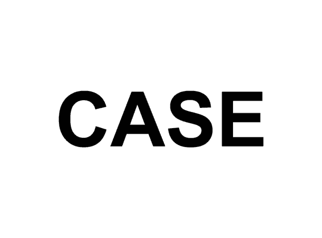 case_0.png